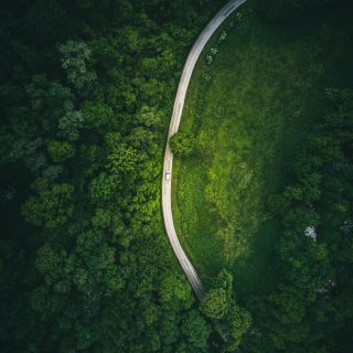 Image d'une route en forêt